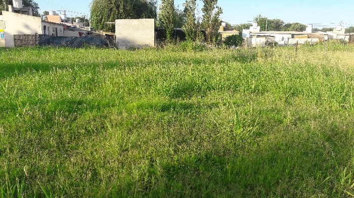 vendo terreno en cañada de gomez zona norte, en calle guiraldes entre maipu y quintana. medidas: 14m de frente x 22m de fondo. gran oportunidad!!