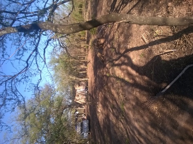 vendo 1ha.des.en nueva esperanza stg.del estero,a 150km de san miguel de tucuman.esta sobre ruta,luz agua,vivienda de 30m2 a terminar.pap.x escribania