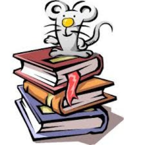 lengua y literatura. clases individuales, grupales. tambièn a domicilio, on line. cañada y zona.