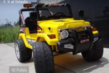 entrada mp3 ( musica), cinturon d segurida, luces, 2 velocidades, marcha atras, control remoto, bateria 12 volt, hasta 40 kg, medidas 110×78×70cm…